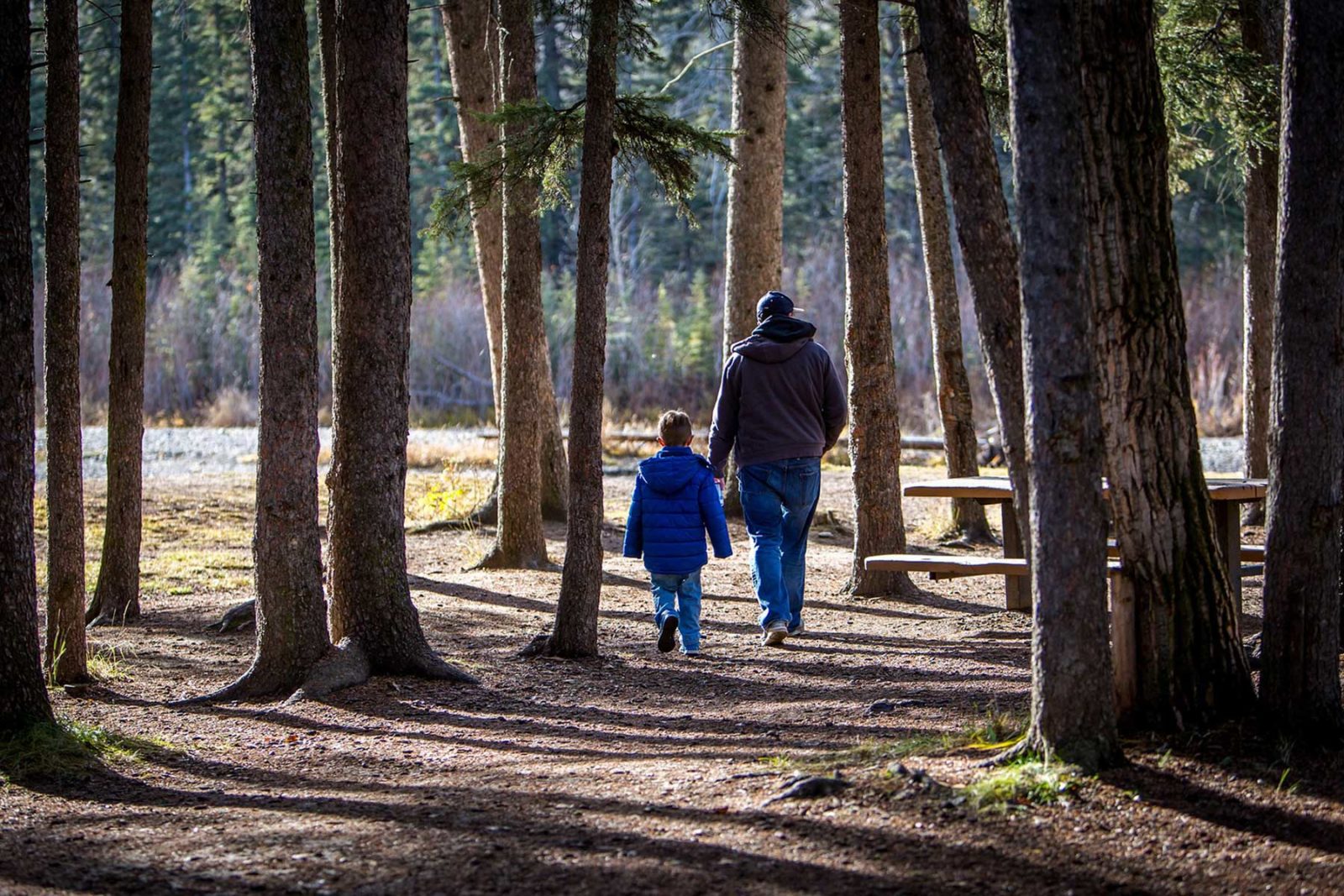 Father and son walking through the forest - having a conversation with your kids